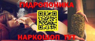 крисы Ирбит