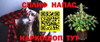 крисы Ирбит