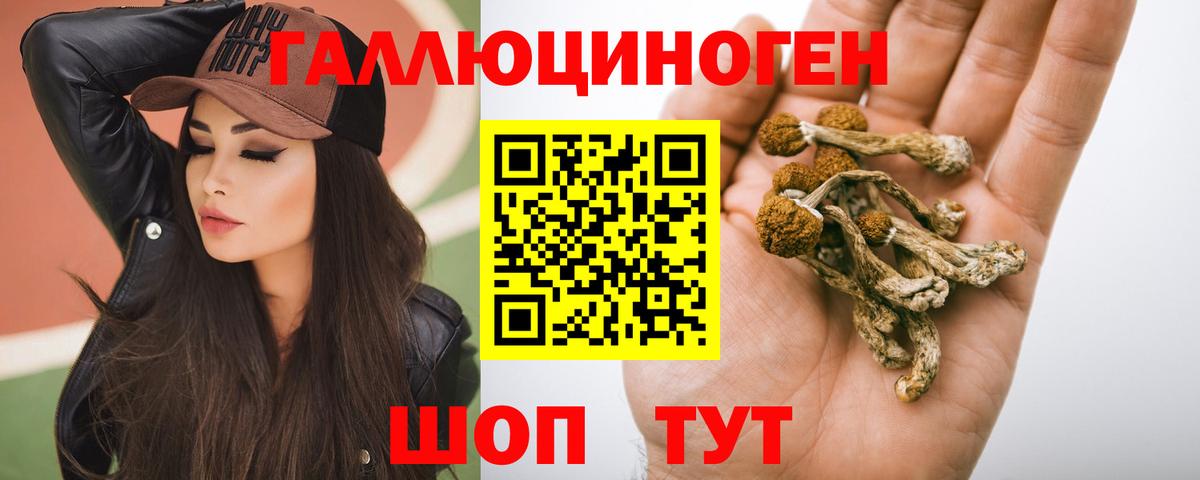 Псилоцибиновые грибы прущие грибы  Вход с VPN  Лыткарино 
